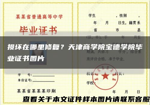 损坏在哪里修复？天津商学院宝德学院毕业证书图片缩略图
