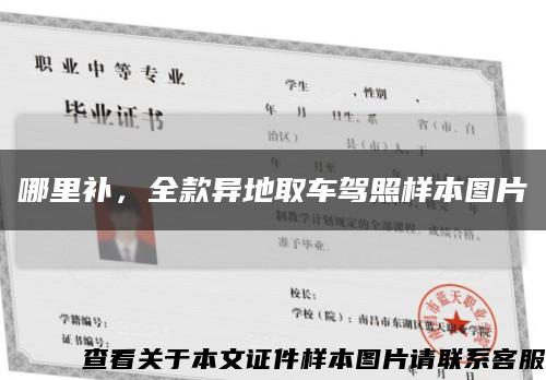 哪里补，全款异地取车驾照样本图片缩略图