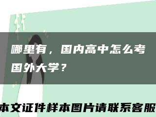 哪里有，国内高中怎么考国外大学？缩略图