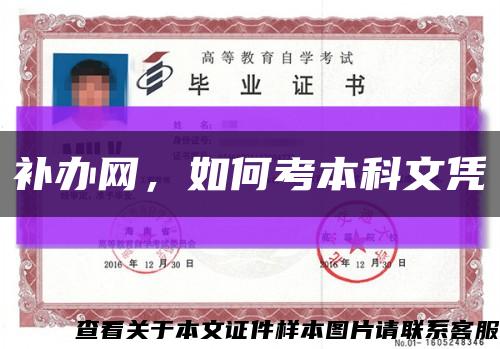 补办网，如何考本科文凭缩略图
