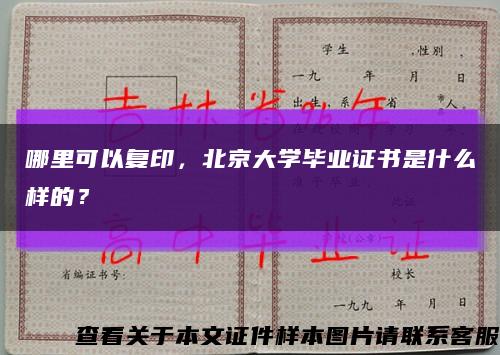哪里可以复印，北京大学毕业证书是什么样的？缩略图