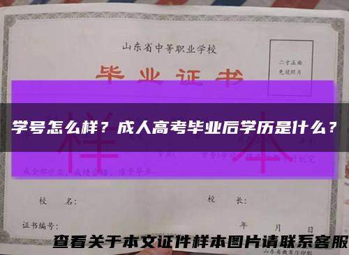 学号怎么样？成人高考毕业后学历是什么？缩略图