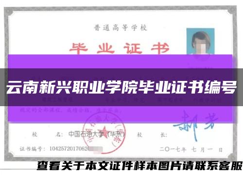 云南新兴职业学院毕业证书编号缩略图