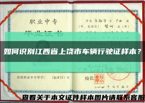 如何识别江西省上饶市车辆行驶证样本？缩略图
