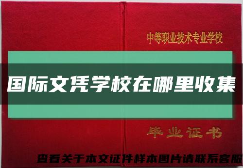 国际文凭学校在哪里收集缩略图