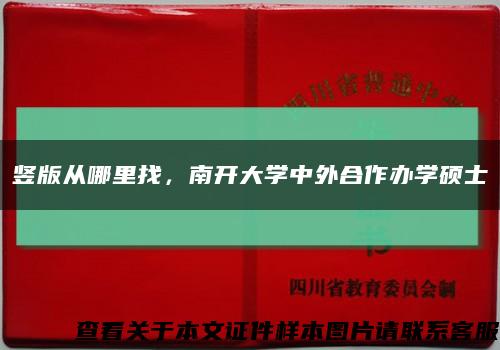 竖版从哪里找，南开大学中外合作办学硕士缩略图
