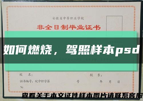 如何燃烧，驾照样本psd缩略图