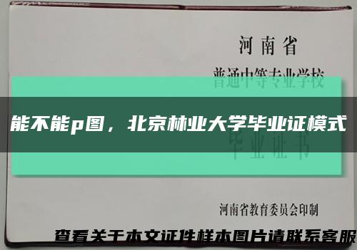 能不能p图，北京林业大学毕业证模式缩略图