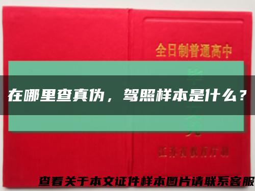 在哪里查真伪，驾照样本是什么？缩略图