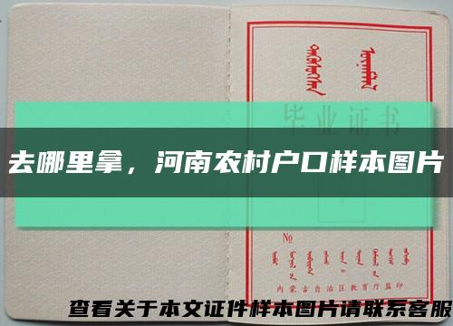 去哪里拿，河南农村户口样本图片缩略图