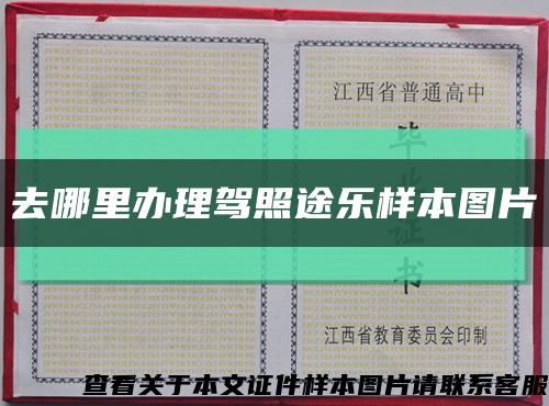 去哪里办理驾照途乐样本图片缩略图