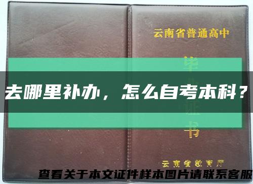 去哪里补办，怎么自考本科？缩略图