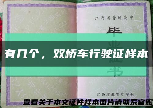 有几个，双桥车行驶证样本缩略图