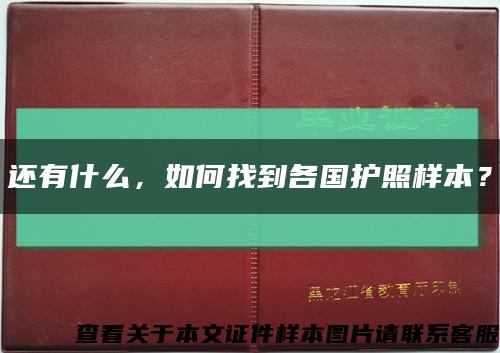 还有什么，如何找到各国护照样本？缩略图