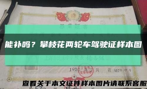 能补吗？攀枝花两轮车驾驶证样本图缩略图