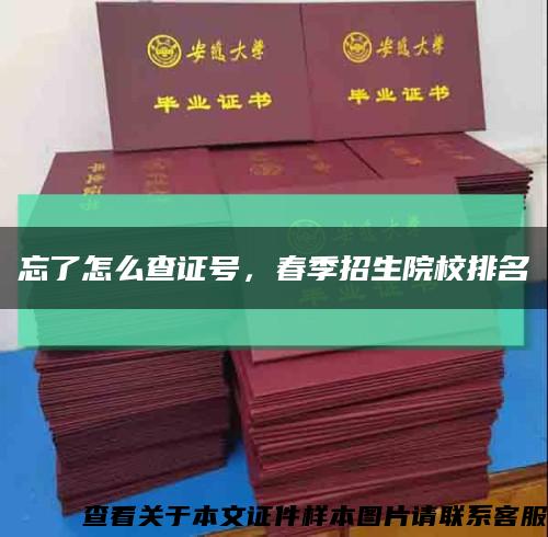 忘了怎么查证号，春季招生院校排名缩略图