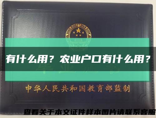 有什么用？农业户口有什么用？缩略图