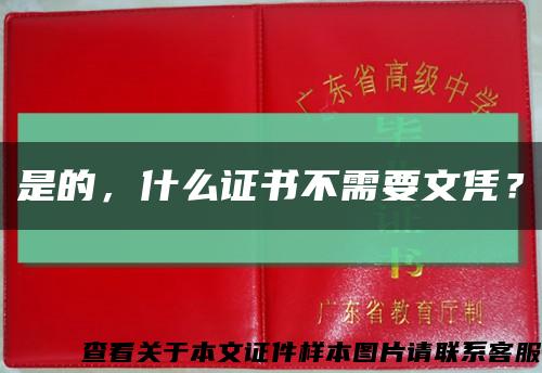 是的，什么证书不需要文凭？缩略图