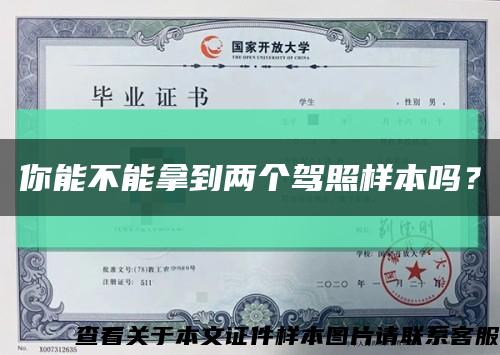 你能不能拿到两个驾照样本吗？缩略图