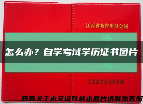 怎么办？自学考试学历证书图片缩略图