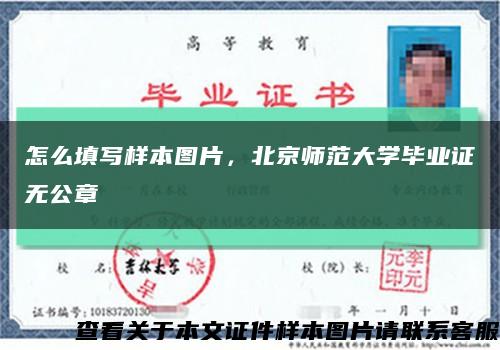 怎么填写样本图片，北京师范大学毕业证无公章缩略图