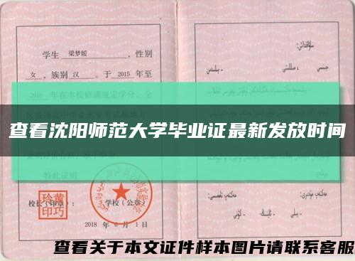 查看沈阳师范大学毕业证最新发放时间缩略图