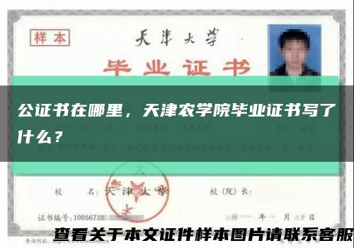公证书在哪里，天津农学院毕业证书写了什么？缩略图