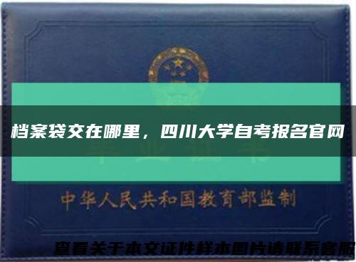 档案袋交在哪里，四川大学自考报名官网缩略图