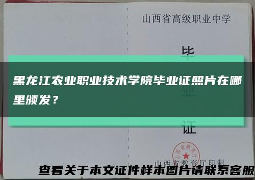 黑龙江农业职业技术学院毕业证照片在哪里颁发？缩略图
