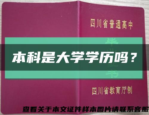 本科是大学学历吗？缩略图