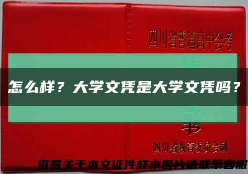 怎么样？大学文凭是大学文凭吗？缩略图