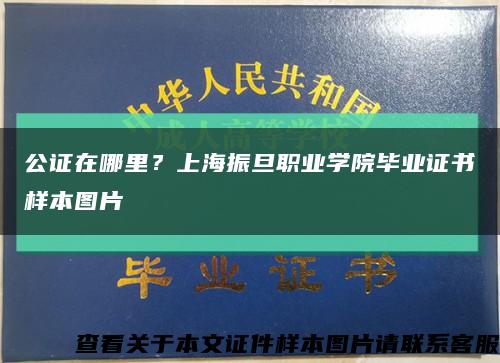 公证在哪里？上海振旦职业学院毕业证书样本图片缩略图