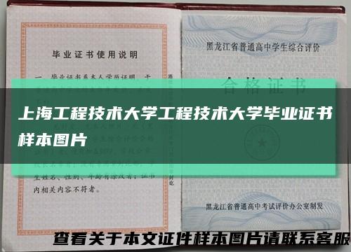 上海工程技术大学工程技术大学毕业证书样本图片缩略图