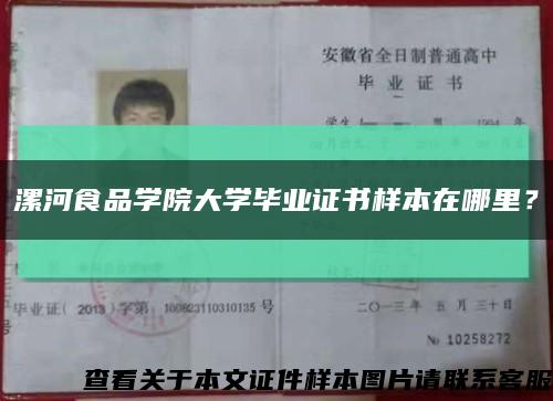漯河食品学院大学毕业证书样本在哪里？缩略图