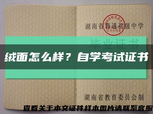 绒面怎么样？自学考试证书缩略图