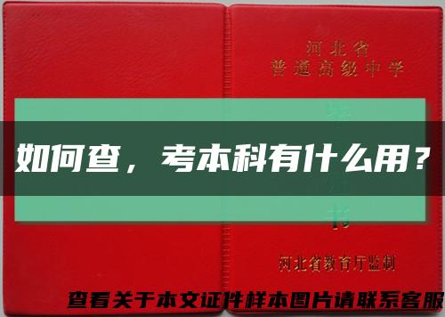 如何查，考本科有什么用？缩略图