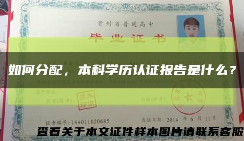 如何分配，本科学历认证报告是什么？缩略图