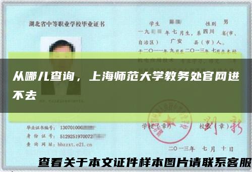 从哪儿查询，上海师范大学教务处官网进不去缩略图