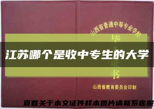 江苏哪个是收中专生的大学缩略图