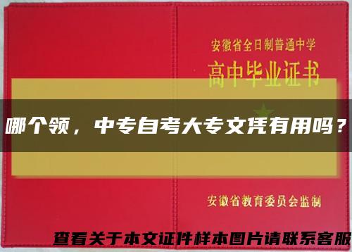 哪个领，中专自考大专文凭有用吗？缩略图