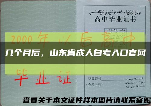 几个月后，山东省成人自考入口官网缩略图