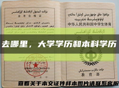 去哪里，大学学历和本科学历缩略图