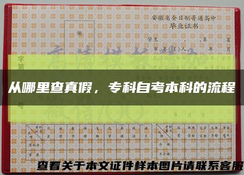 从哪里查真假，专科自考本科的流程缩略图