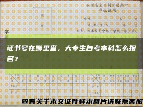 证书号在哪里查，大专生自考本科怎么报名？缩略图