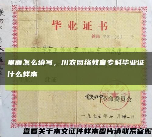 里面怎么填写，川农网络教育专科毕业证什么样本缩略图