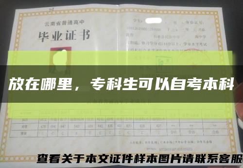 放在哪里，专科生可以自考本科缩略图