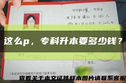 这么p，专科升本要多少钱？缩略图