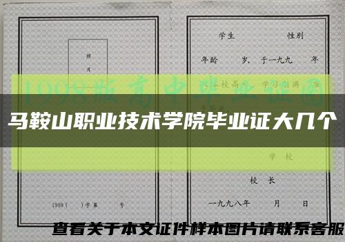 马鞍山职业技术学院毕业证大几个缩略图