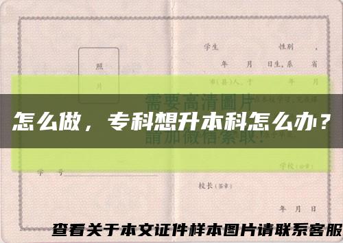 怎么做，专科想升本科怎么办？缩略图