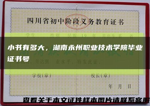 小书有多大，湖南永州职业技术学院毕业证书号缩略图